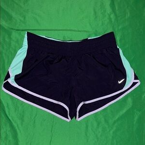 Nike Women's Purple and Mint Dri-Fit  Athletic Shorts size Large
